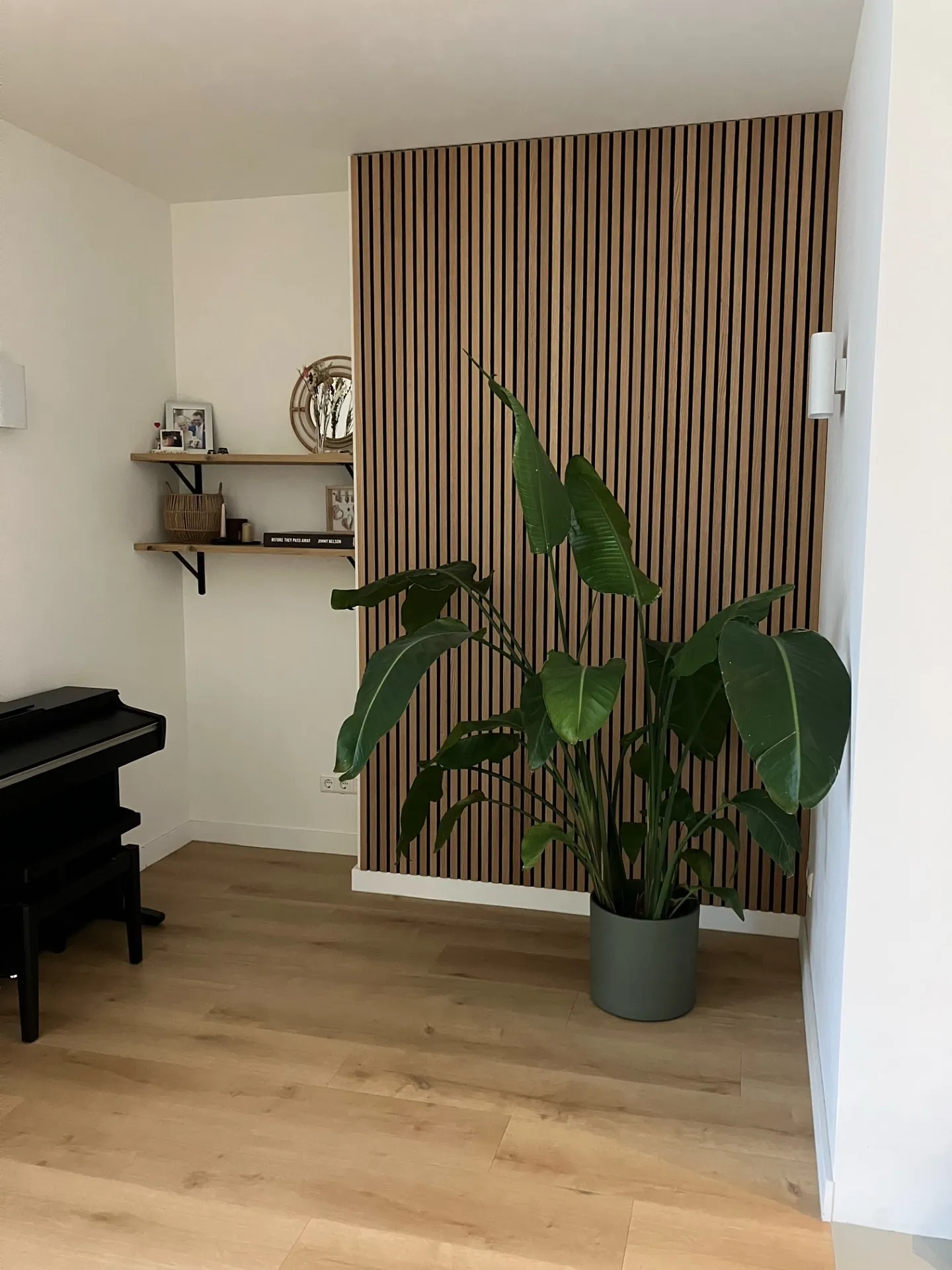 Akustikpaneel Eiche Natur 260 x 52 cm